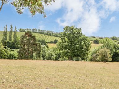 A field with scattered trees and rolling hills with rows of crops in the background at Phocle Ridge in Phocle Green near Ross-On-Wye