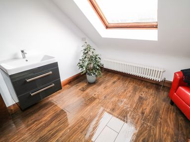 A room with a sink, a potted plant, a radiator under a skylight window, and a red chair at The Upper Room in Ballymena