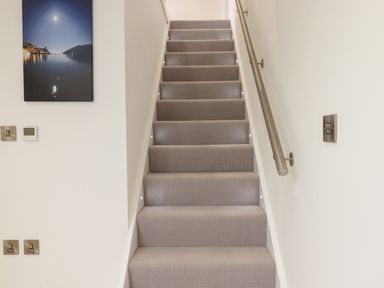 A carpeted staircase with wall lights a metal handrail and light switches on white walls at Ferryside in Kingswear