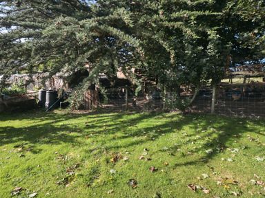 An outdoor area with green grass, trees, two black water barrels, and a fenced area containing chickens at The Shepherd's Rest in Robin Hood's Bay