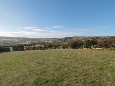 A grassy field with sheep near a line of trees and houses in the background at The Shepherd's Rest in Robin Hood's Bay