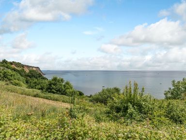 A coastal landscape with greenery and a cliff overlooking the sea at The Shepherd's Rest in Robin Hood's Bay