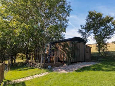 A small wooden cabin with a deck surrounded by trees and grass at The Shepherd's Rest in Robin Hood's Bay