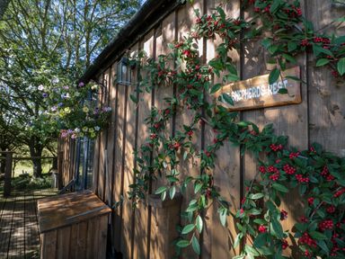 A wooden cabin exterior with climbing plants and flowers on a porch at The Shepherds Rest in Robin Hoods Bay
