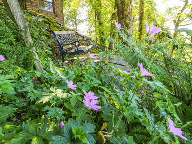A garden area with purple flowers wooden bench and trees at Keepers in Nenthead near Alston