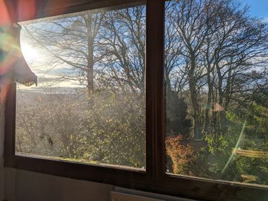 View of bare trees and bushes outside a window with a lampshade partially visible at Keepers in Nenthead near Alston