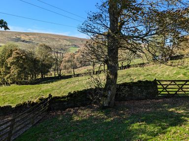 A rural landscape with trees a stone wall and wooden gates at Keepers in Nenthead near Alston