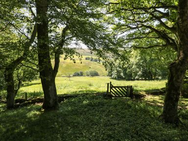 A wooden gate in a stone wall with trees and a grassy field at Bothy in Nenthall near Alston