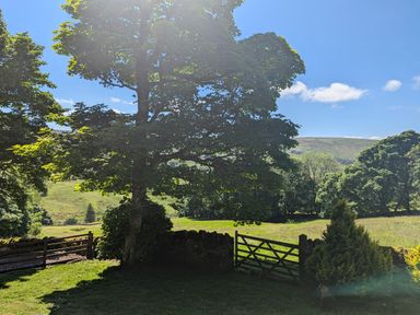 A scenic outdoor view with trees a wooden gate grass and hills at Bothy in Nenthall near Alston