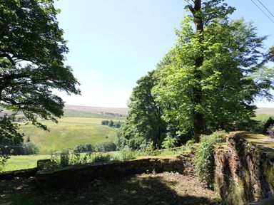 A stone wall and trees overlooking a grassy hillside at Chestnut in Nenthall near Alston