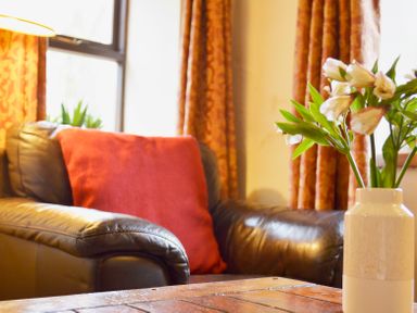 A leather armchair with a red cushion next to a window and a vase with flowers on a wooden table at Chestnut in Nenthall near Alston