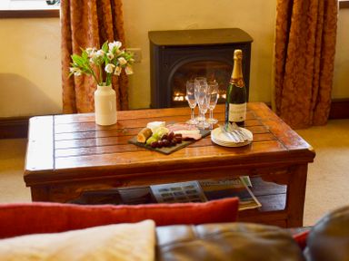 A wooden coffee table with a vase of flowers a tray of cheese and grapes champagne bottle and glasses in front of a small stove at Chestnut in Nenthall near Alston