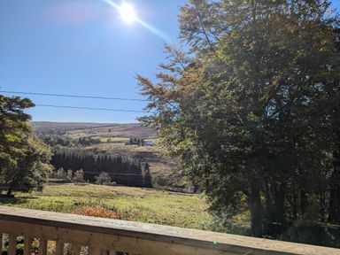 A countryside view with fields trees and hills under a clear sky at Chestnut in Nenthall near Alston