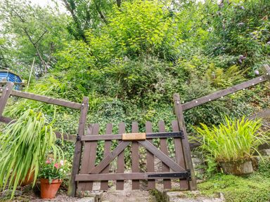 A wooden garden gate with a fence and potted plants surrounded by dense greenery at Vi's Valley View in Pentewan