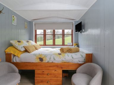 A bedroom with a wooden bed with sunflower bedding two grey chairs and a TV mounted on the wall at Rabbit Hill Hut in Govilon