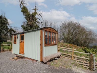 A small corrugated metal and wood shed near a gravel driveway and fenced garden at Rabbit Hill Hut in Govilon