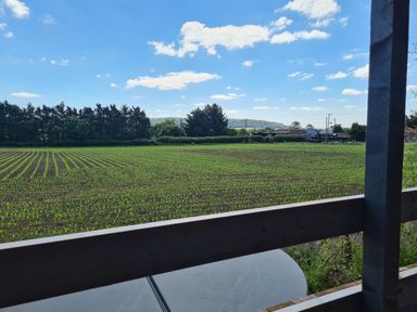 A view of a green field with young crops and trees in the background taken from a wooden balcony at Thornhills Lodge in Othery near Middlezoy