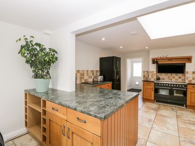 A kitchen with wooden cabinets a black refrigerator a stove and a green plant on the counter at Somerset House in Othery near Middlezoy