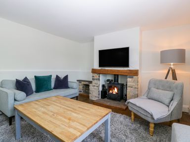 A living room with a gray sofa and armchair a wooden coffee table a fireplace with a TV above and a floor lamp at Somerset House in Othery near Middlezoy