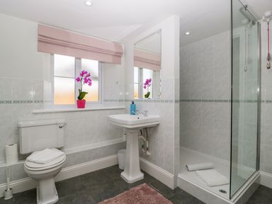 A bathroom with a toilet, pedestal sink, glass-enclosed shower, pink orchid on the windowsill, and a pink rug at Somerset House in Othery near Middlezoy
