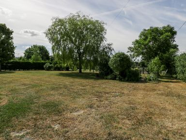 A grassy yard with several trees and bushes under a cloudy sky at Somerset House in Othery near Middlezoy
