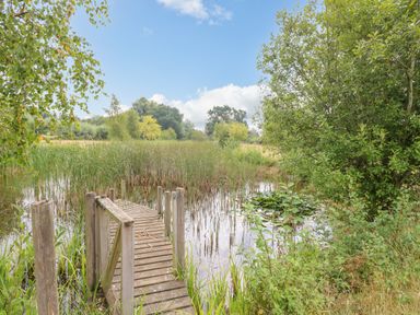 A wooden dock extending into a small pond surrounded by tall grasses and trees at Willow Cottage in Hickling near Catfield