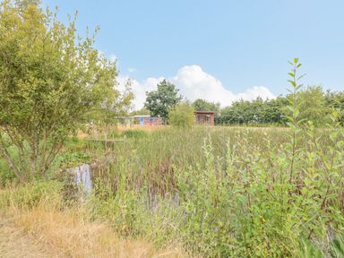 A pond with reeds and a small wooden pier surrounded by trees and bushes at Willow Cottage in Hickling near Catfield