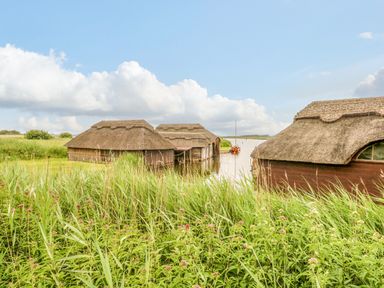 Thatched boathouses on a riverbank with reeds and wildflowers at Willow Cottage in Hickling near Catfield