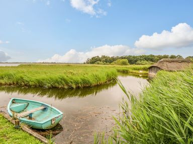 A small boat on a river next to tall grass and a thatched boathouse at Willow Cottage in Hickling near Catfield