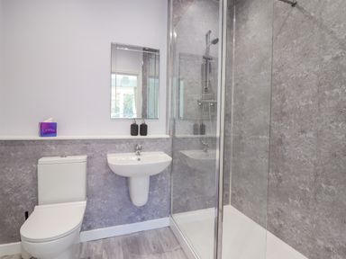A bathroom with a toilet sink mirror and enclosed shower at Cam O'r Fechan Annexe in Llangollen