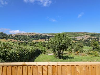 A fenced garden with a tree and shrubbery in front of hills and blue sky at Cam O'r Fechan Annexe in Llangollen