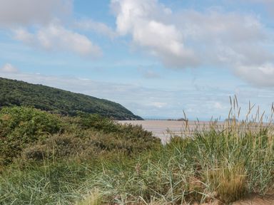 A coastal view with grassy dunes bushes a wooded hill and a pier in the distance at Bluebell Lodge Meadow view lodges in Brean