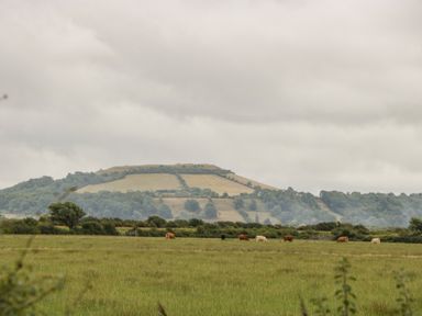 A field with cows grazing with a hill and trees in the background at Bluebell Lodge Meadow view lodges in Brean