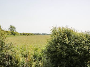 A field with green grass and bushes under a clear sky at Delphine Lodge Meadow View Lodges in Brean