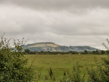 A field with cows grazing and hills in the background at Delphine Lodge Meadow View Lodges in Brean