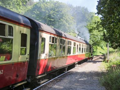 A steam train on a track next to a gravel platform surrounded by trees at 7 Railway Cottages in Newby Bridge