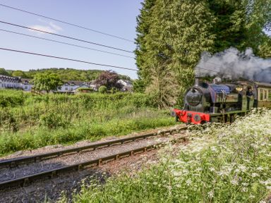 A steam train moving on railway tracks next to wildflowers and trees with houses in the background at 7 Railway Cottages in Newby Bridge