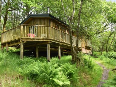 A wooden cabin on stilts with a wraparound deck surrounded by trees and ferns at Chapel House in Torridon