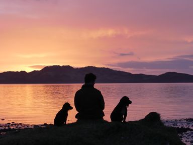 A person sitting between two dogs by a lake at sunset with mountains in the background at Ardlarach Lodge Cullipool Isle Of Luing