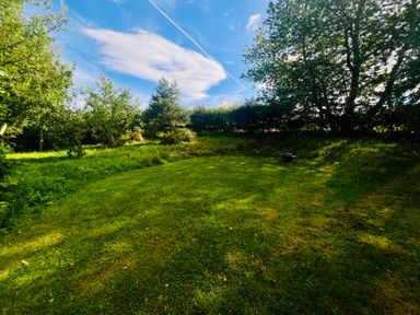 A garden with grass and trees at Skylarks Ferintosh near to Dingwall