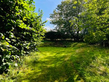 A garden area with grass and trees at Skylarks near to Dingwall