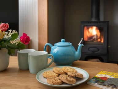 A table with cookies on a plate two mugs a blue teapot flowers in a vase a book and a burning stove in the background at Beltie Lodge in Borgue