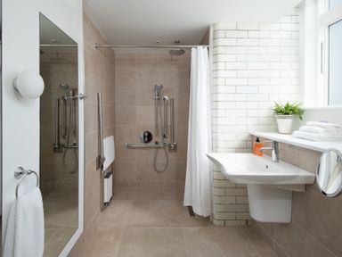 A bathroom with walk-in shower grab bars sink with soap dispenser and plant Beltie Lodge Borgue