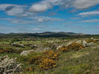 A rural landscape with green fields shrubs and hills under a partly cloudy sky at Beltie Lodge in Borgue