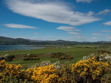 A coastal landscape with hills green fields and yellow flowering bushes at Beltie Lodge in Borgue