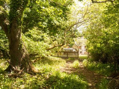 A garden with large trees and a wooden fence near a house at Beltie Lodge in Borgue