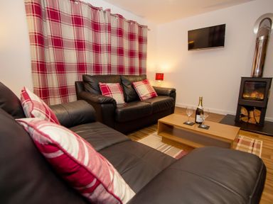 A living room with leather sofas and plaid cushions a wooden coffee table with a bottle and glasses a wood-burning stove and a wall-mounted television at Braemore Chalet Tarbert Isle Of Harris