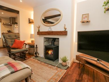 A living room with a fireplace rocking chair rug and television at Style Cottage in Keswick