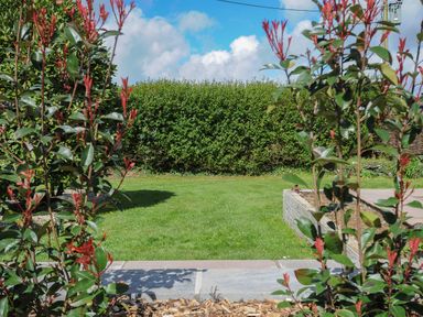 A garden with green grass and hedges behind red-tipped bushes at Skylarks in No Man's Land near Looe