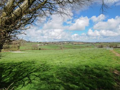 A green field with fencing and a tree under a blue sky with clouds at Skylarks in No Man's Land near Looe